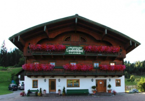 Laubichlhof, Flachau, Österreich, Flachau, Österreich